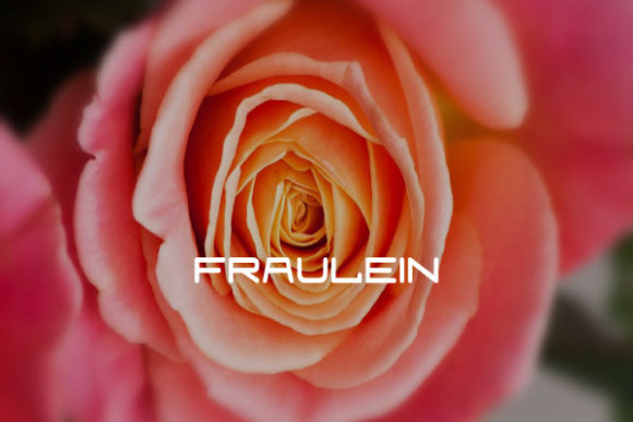 Fraulein: The Modern Sans Serif for Clear Brand Identity
