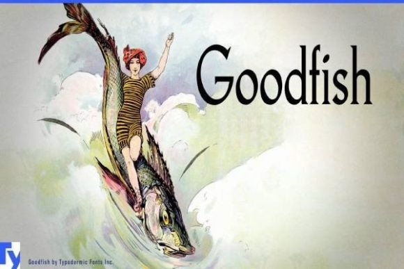 Goodfish: The Serif Font with Vintage Character