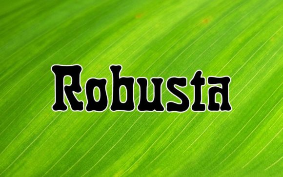 Robusta: A Font That Brings Creative Ideas to Life